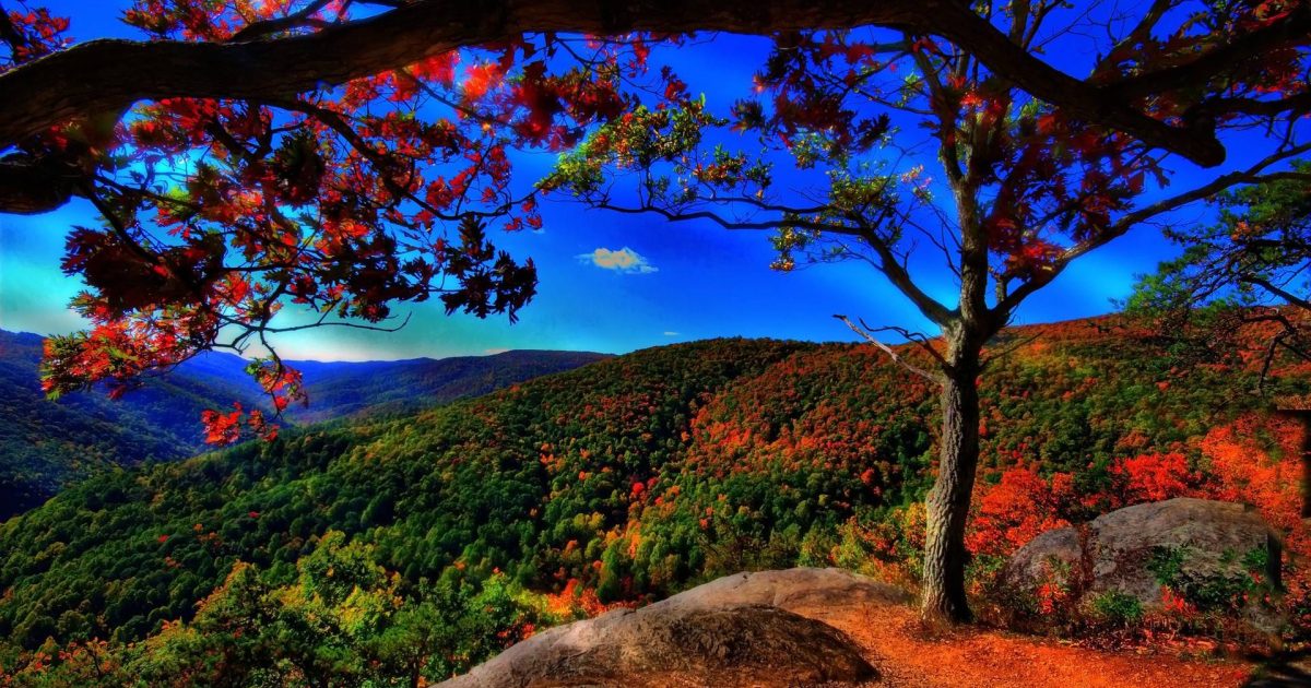 Amgbahissite slot oyunlari nasıl oynanir