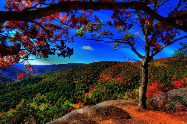 amgbahissite üyelik görseli